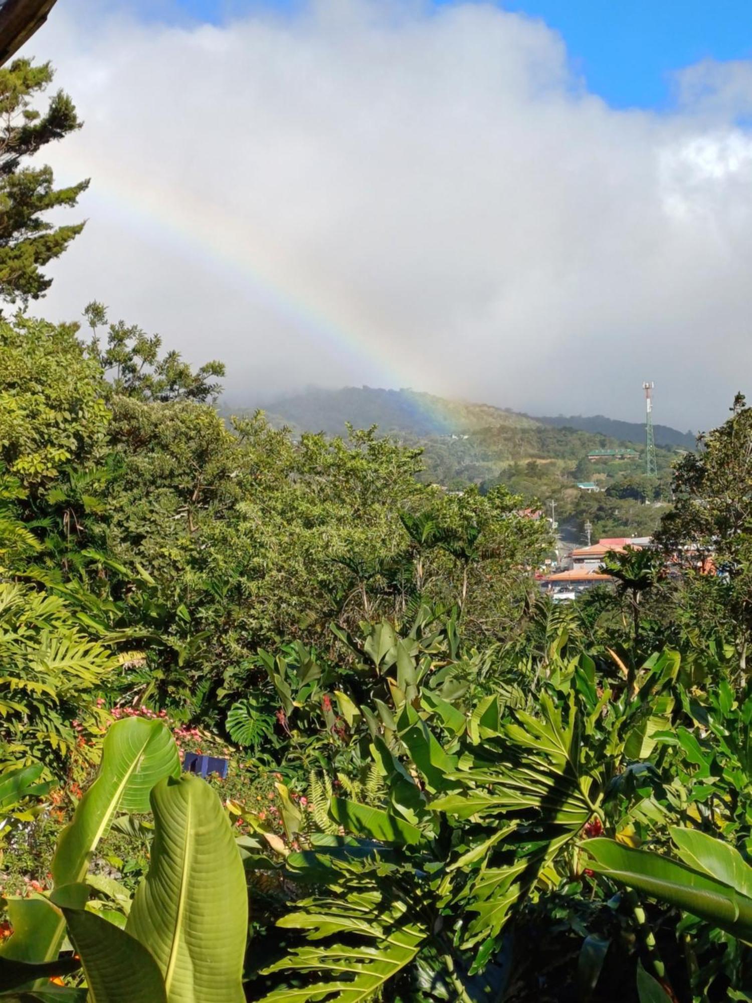 Hotel Claro De Luna Monteverde Eksteriør billede