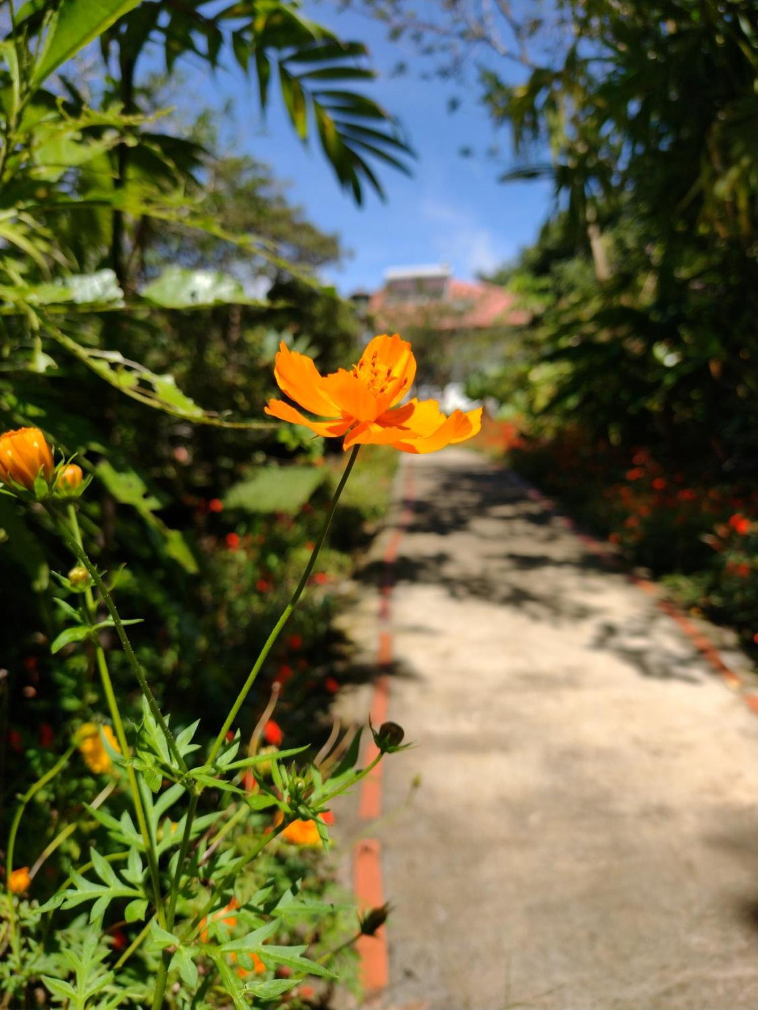 Hotel Claro De Luna Monteverde Eksteriør billede
