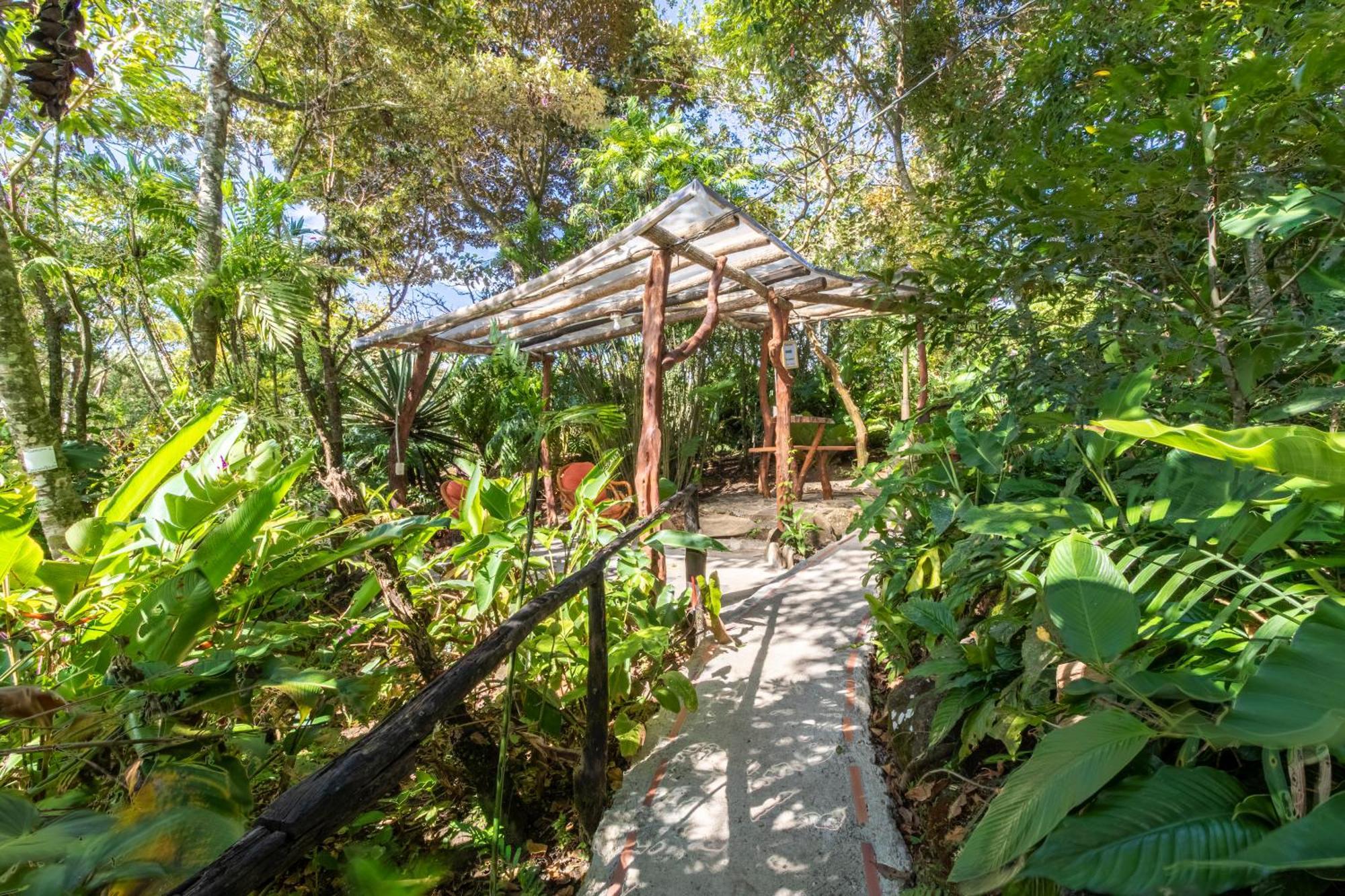 Hotel Claro De Luna Monteverde Eksteriør billede