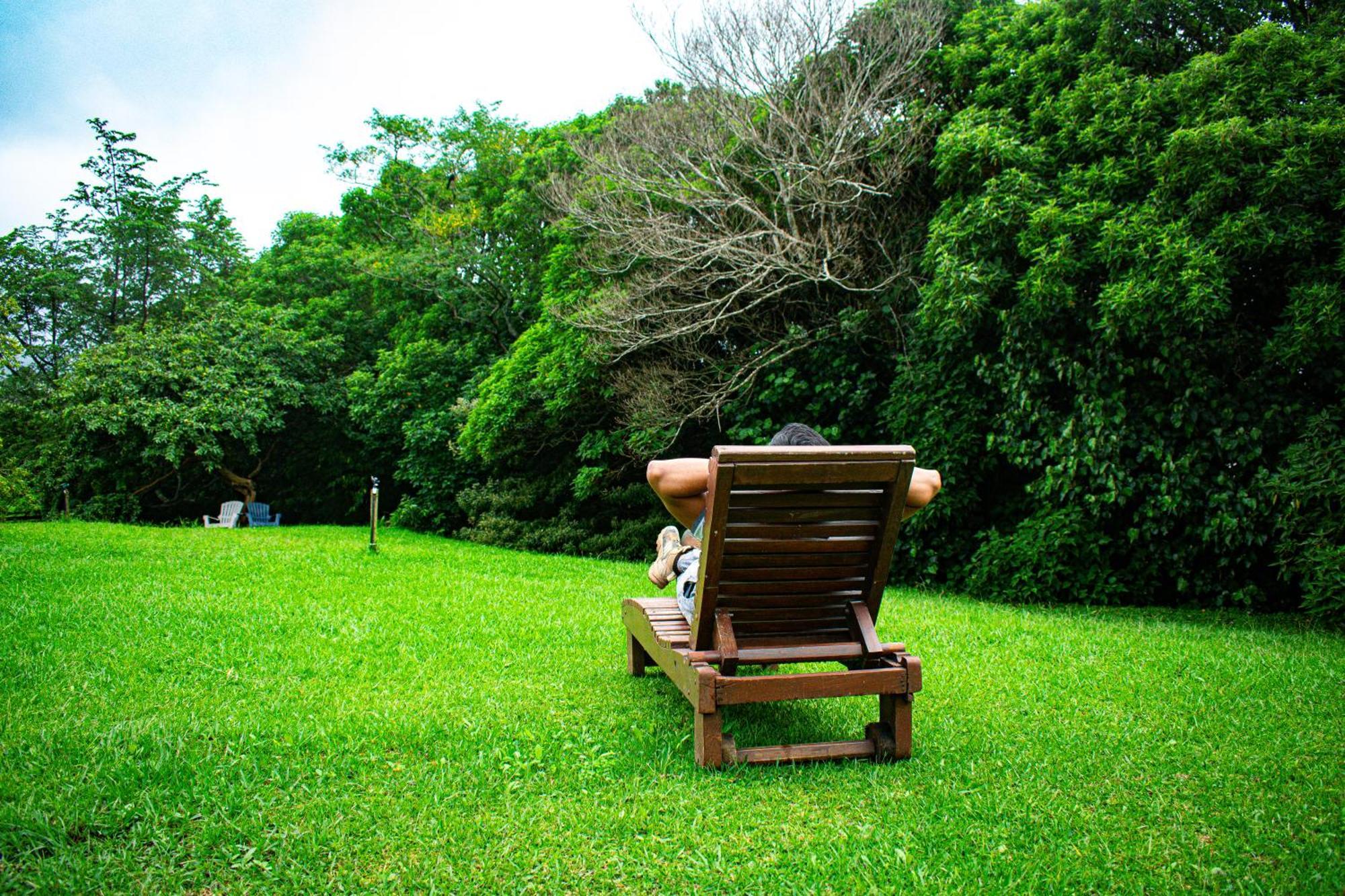 Hotel Claro De Luna Monteverde Eksteriør billede