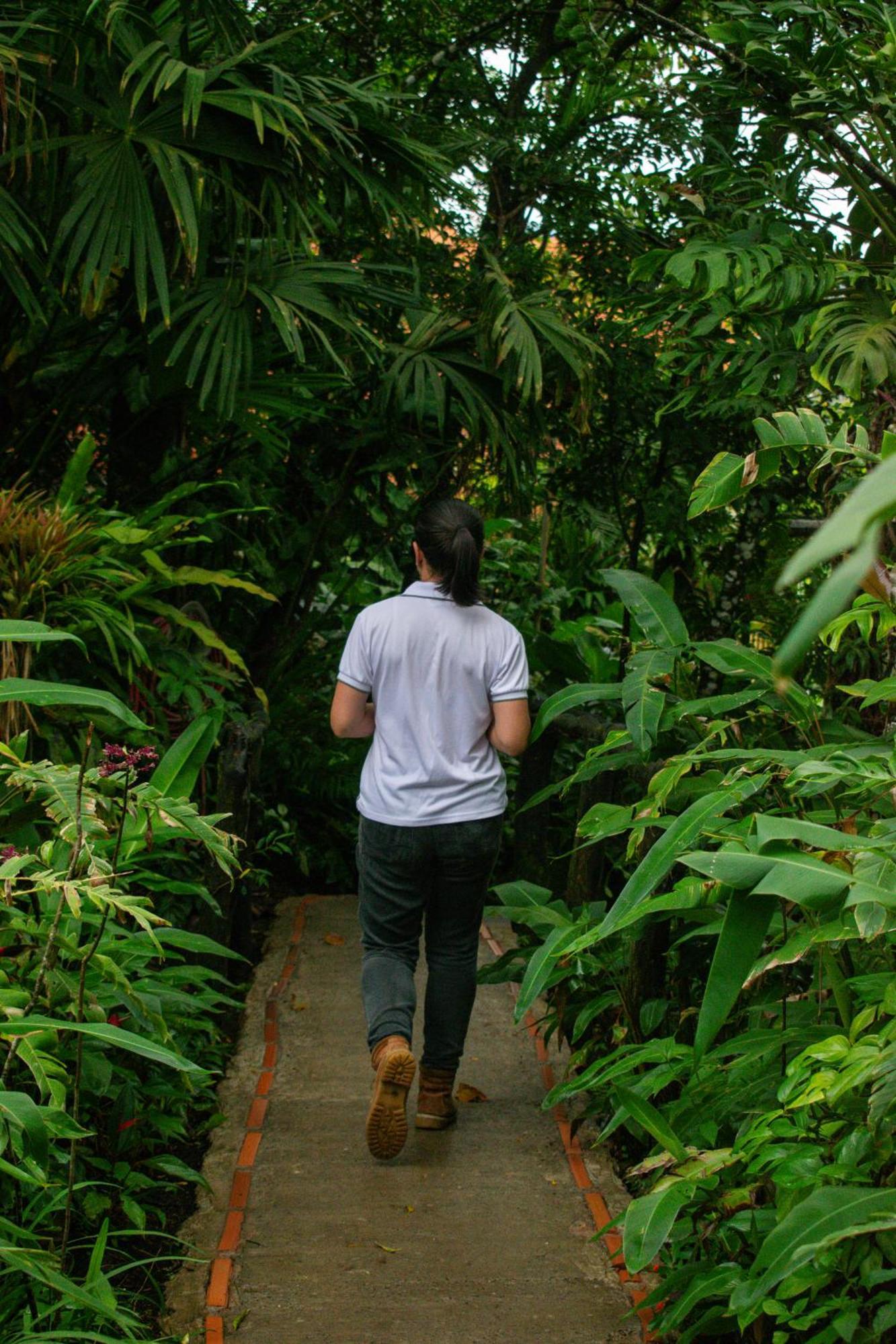 Hotel Claro De Luna Monteverde Eksteriør billede