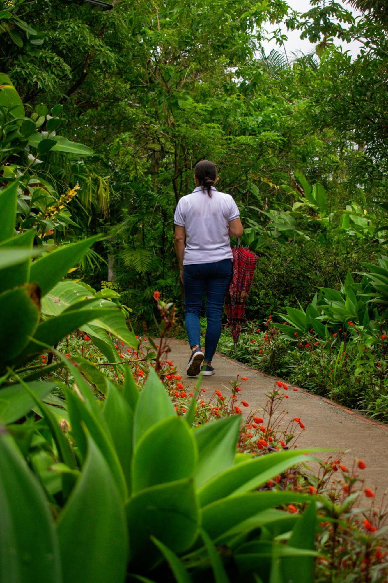 Hotel Claro De Luna Monteverde Eksteriør billede