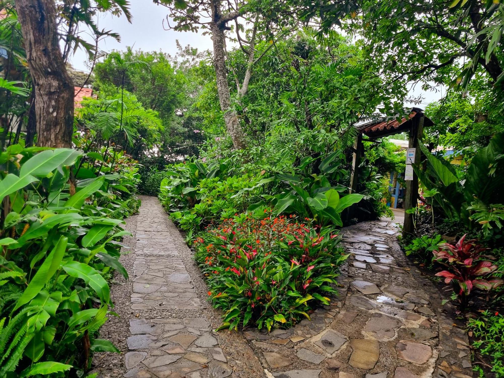 Hotel Claro De Luna Monteverde Eksteriør billede