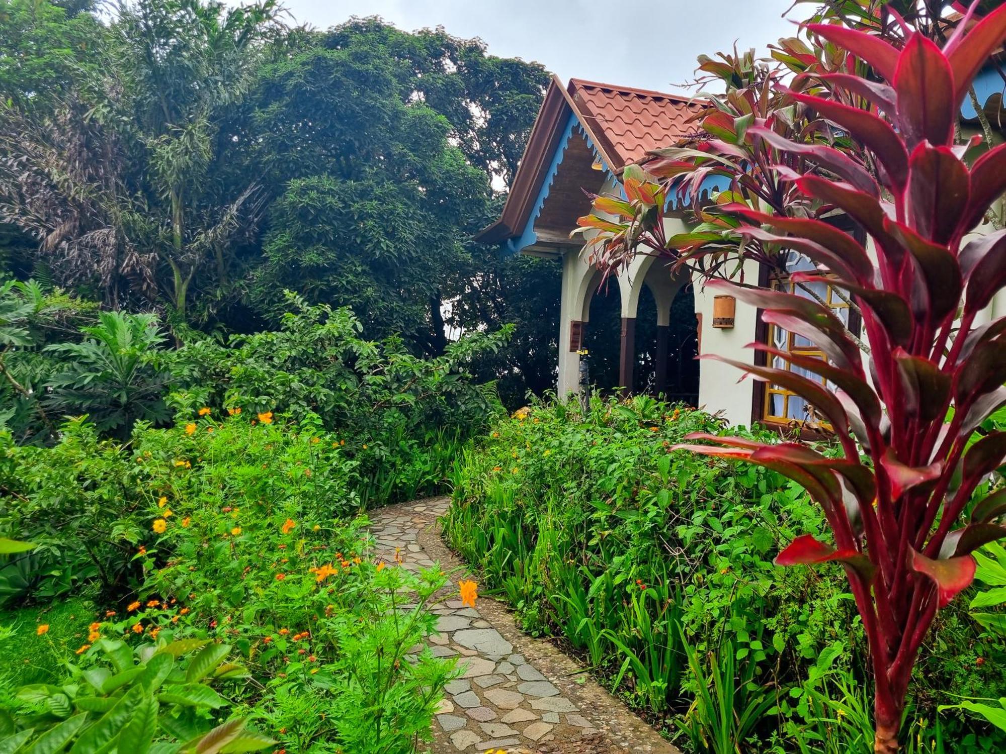 Hotel Claro De Luna Monteverde Eksteriør billede